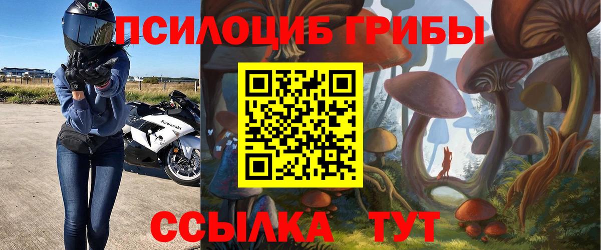 Псилоцибиновые грибы Cubensis Белгород